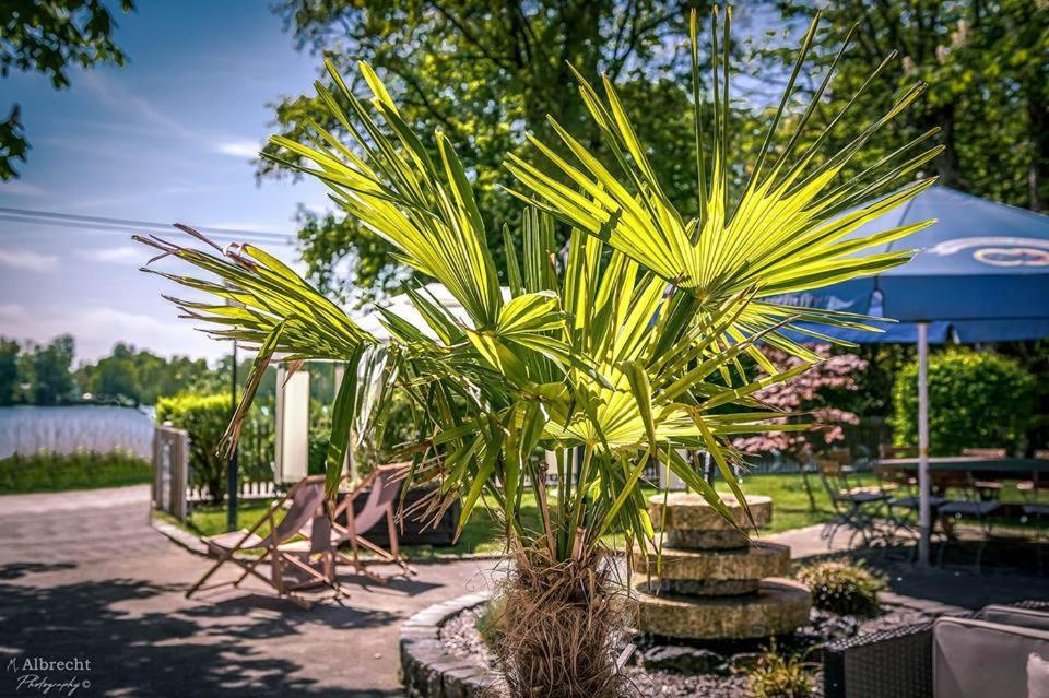 Sopherl Am See - Fruehstueck Auf Der Seeterrasse, Sehr Ruhig Und Wunderschoen Am See, 3 Minuten Nach Oberpfaffenhofen, Viele Radtouren, Restaurants & Cafes In Der Umgebung Weßling Eksteriør billede